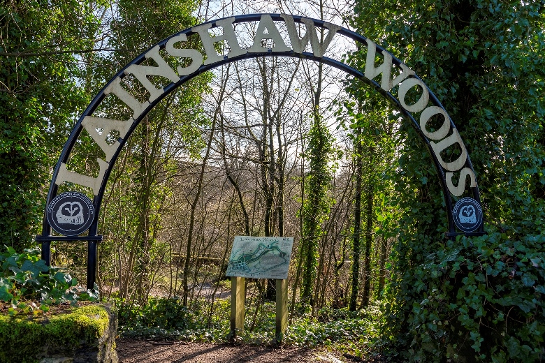 David Dale Avenue entrance to Lainshaw Woods.  Photo by Cara Smillie