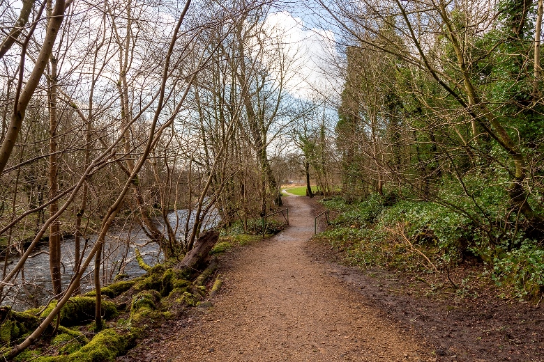 Riverside path in Lainshaw Woods.  Photo by Cara Smillie.